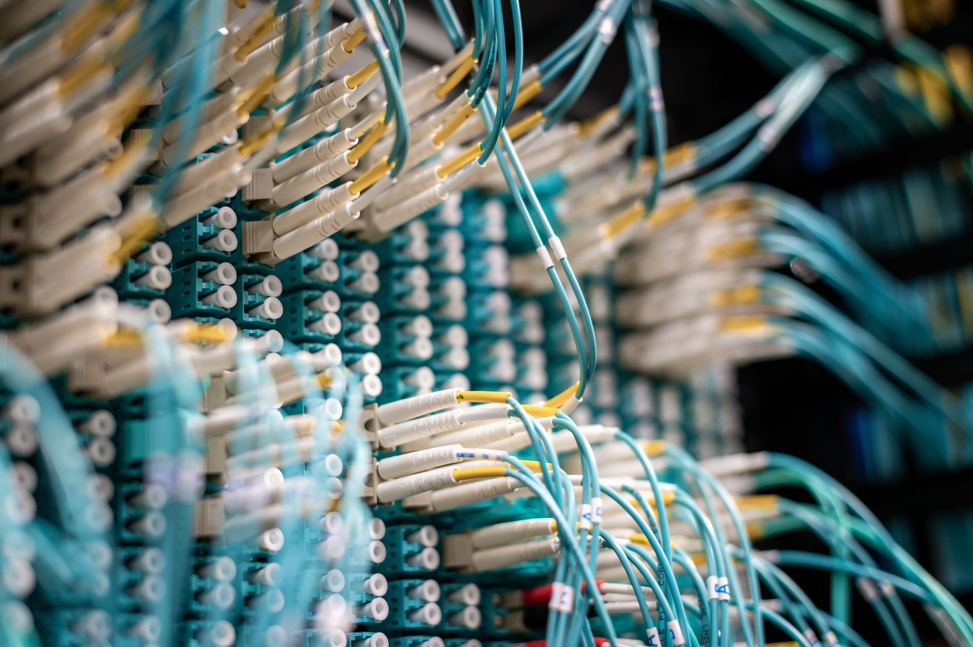 Patch panel de fibra óptica con decenas de conectores LC y cables de par trenzado — cada cable es una ruta de ruteo invisible